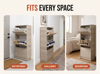 Thumbnail for Shoe Cabinet