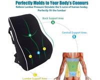 Thumbnail for Memory Foam Lumbar Cushion