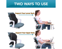 Thumbnail for Memory Foam Lumbar Cushion