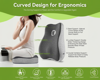 Thumbnail for Lumbar pillow providing back support