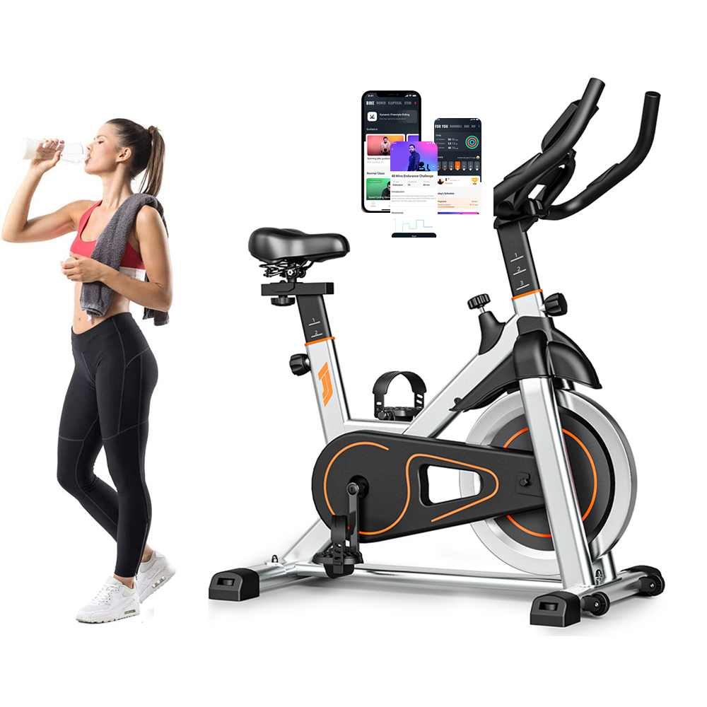 Heavy Duty Exercise Spin Bike
