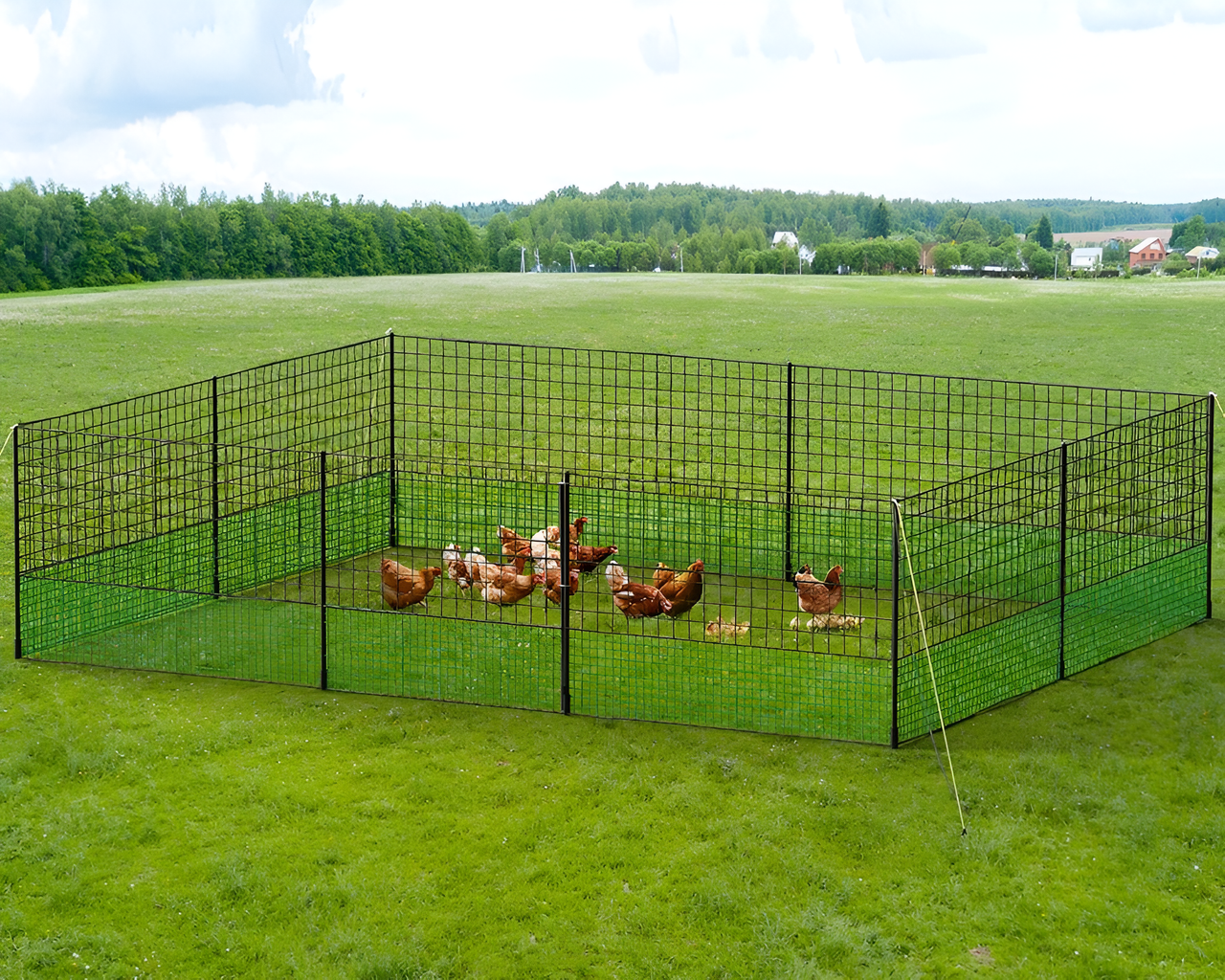 Close-up of PE chicken fence netting mesh