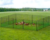 Thumbnail for Close-up of PE chicken fence netting mesh