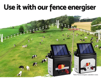 Thumbnail for Electric fence netting in backyard setting