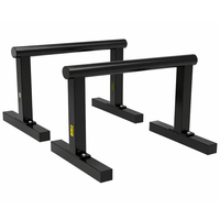 Thumbnail for Parallel Bar Dip Bars