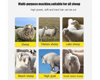 Thumbnail for Electric Sheep Clipper Shearing 1500W
