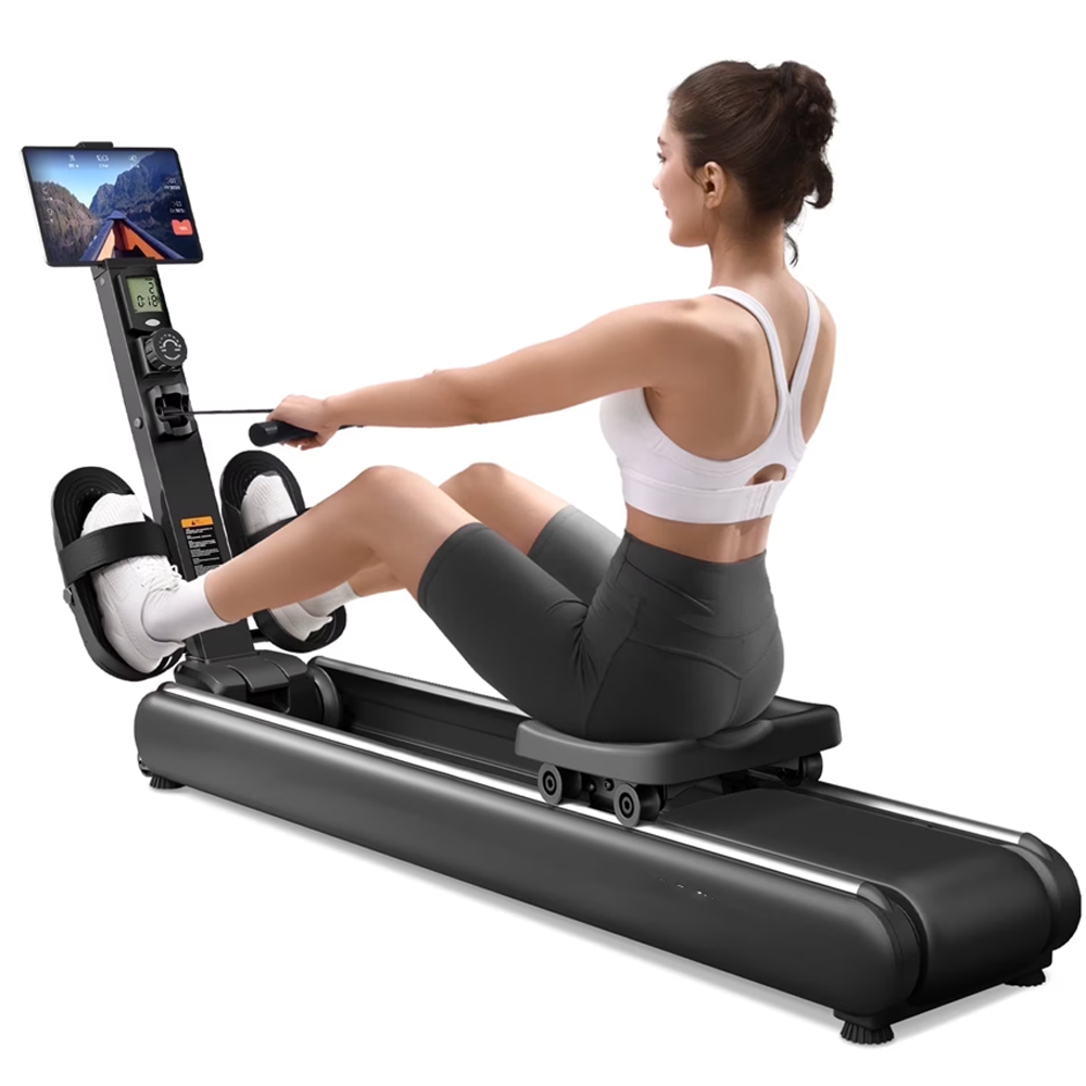 16 Levels Rowing Machines Dual Slide Rail