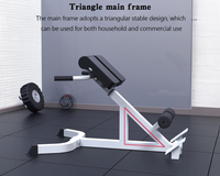 Thumbnail for Roman Chair Adjustable Roman Chair Hyperextension Bench