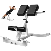 Thumbnail for Roman Chair Adjustable Roman Chair Hyperextension Bench