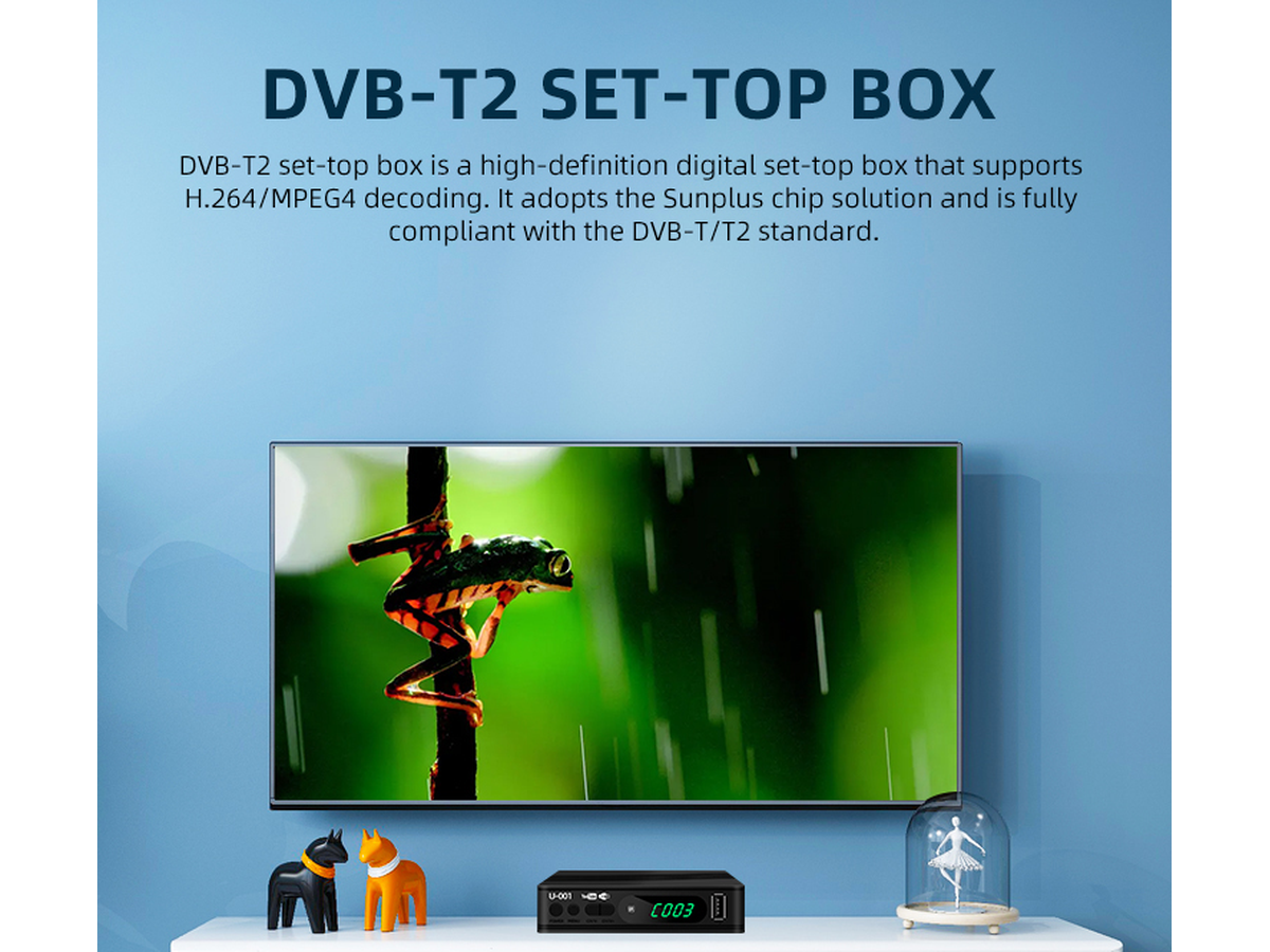 Digital Terrestrial TV Receiver