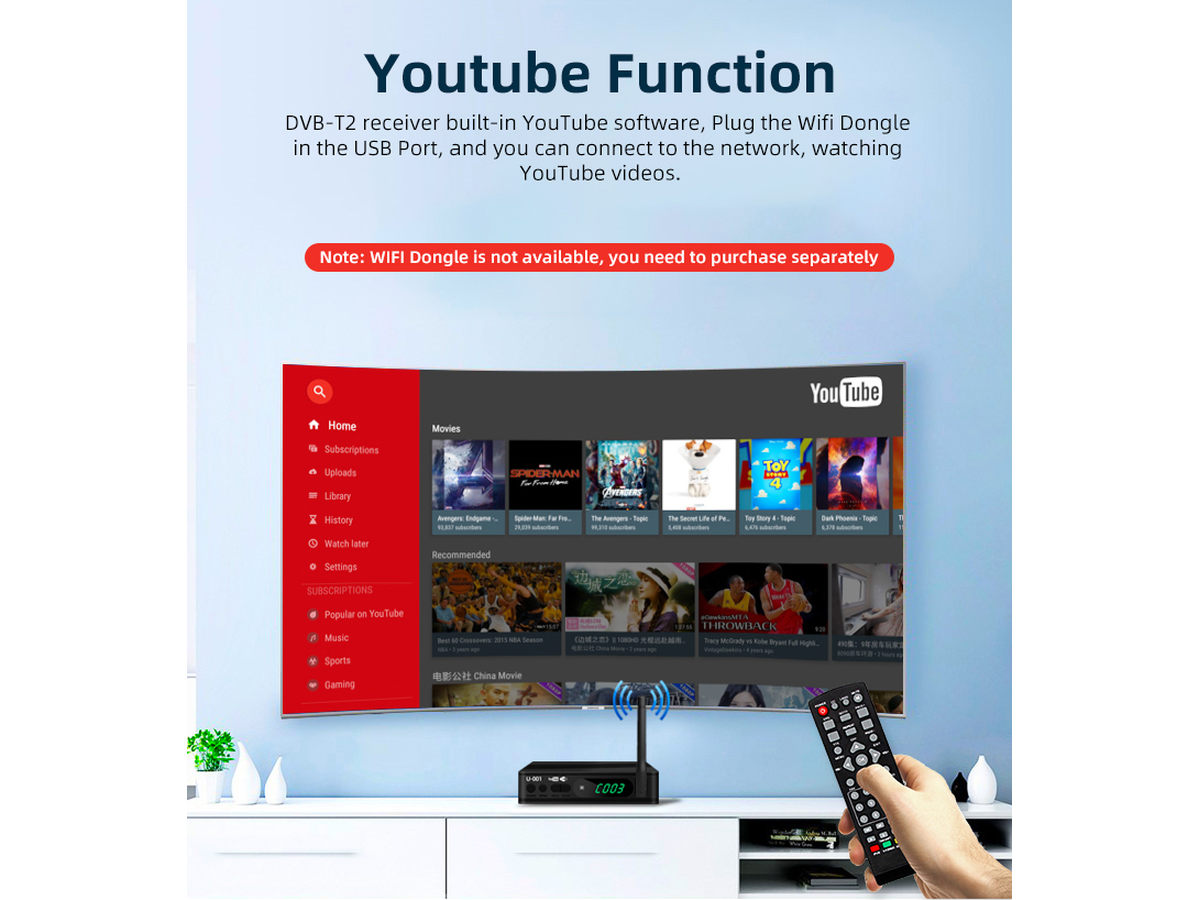 Digital Terrestrial TV Receiver