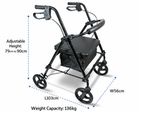 Thumbnail for Folding Mobility Walker