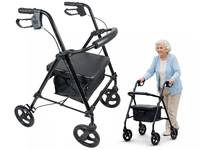 Thumbnail for Folding Mobility Walker