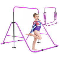 Thumbnail for Gymnastics Training Bar Purple
