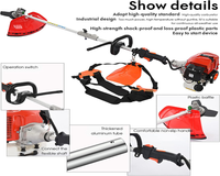 Thumbnail for Petrol Garden Multi Tool 5 in 1 Grass Trimming and Cutting Set