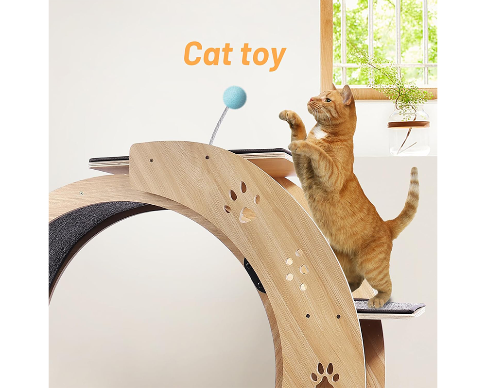 Cat Wheel Exercise
