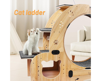 Thumbnail for Cat Wheel Exercise