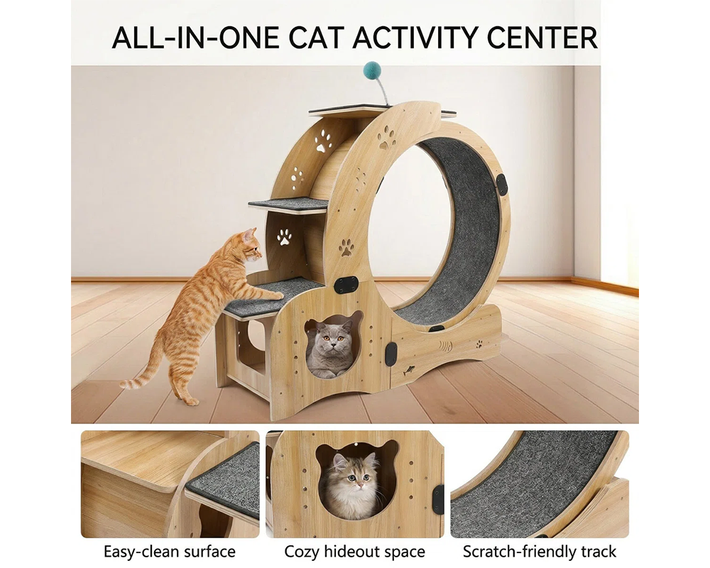Cat Wheel Exercise