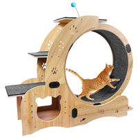 Thumbnail for Cat Wheel Exercise