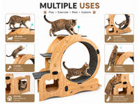 Thumbnail for Cat Wheel Exercise