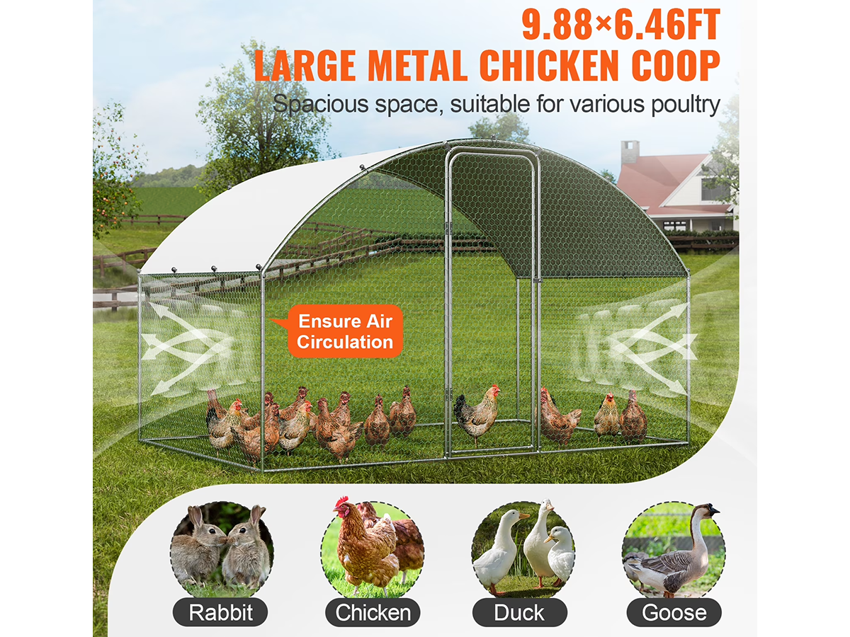 Outdoor Chicken Coop