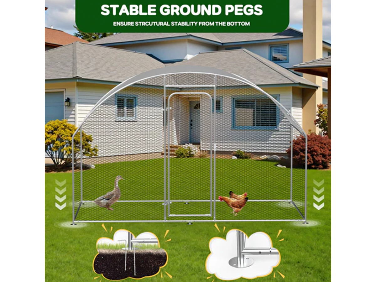Outdoor Chicken Coop
