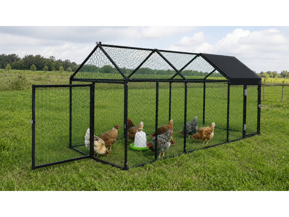 Outdoor Chicken Coop Run