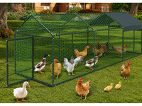 Thumbnail for Outdoor Chicken Coop Run