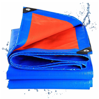 Thumbnail for Tarpaulin Tarps 6X6M