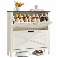 Thumbnail for Shoe Storage Cabinet
