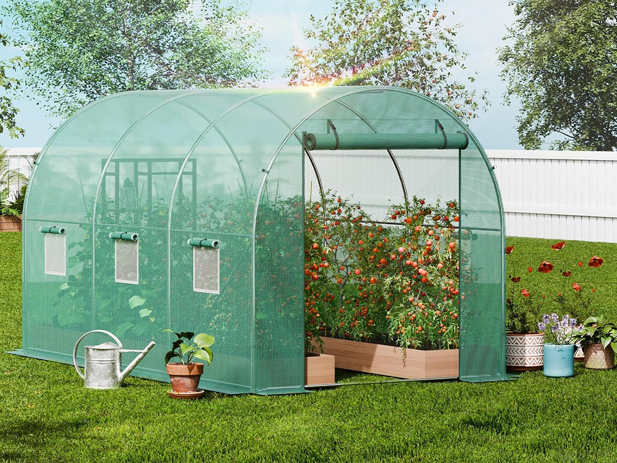 Tunnel Greenhouse