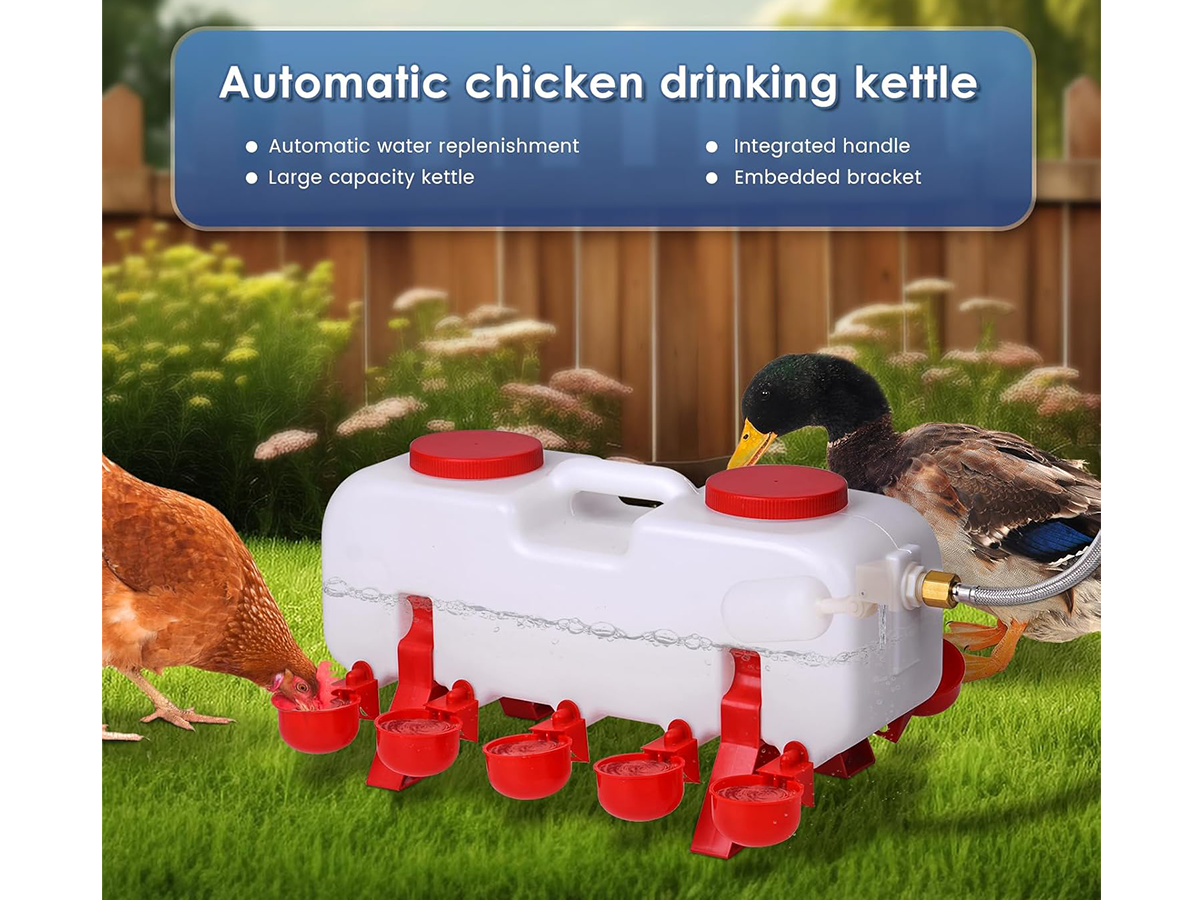 Chicken Water Feeder