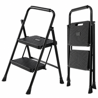 Thumbnail for Folding Step Ladder