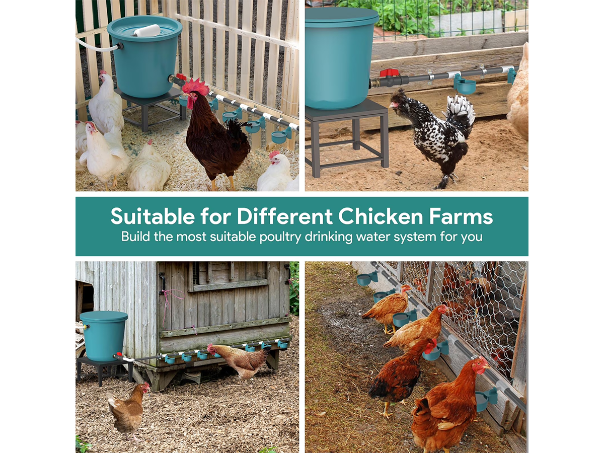 Chicken Water Feeder