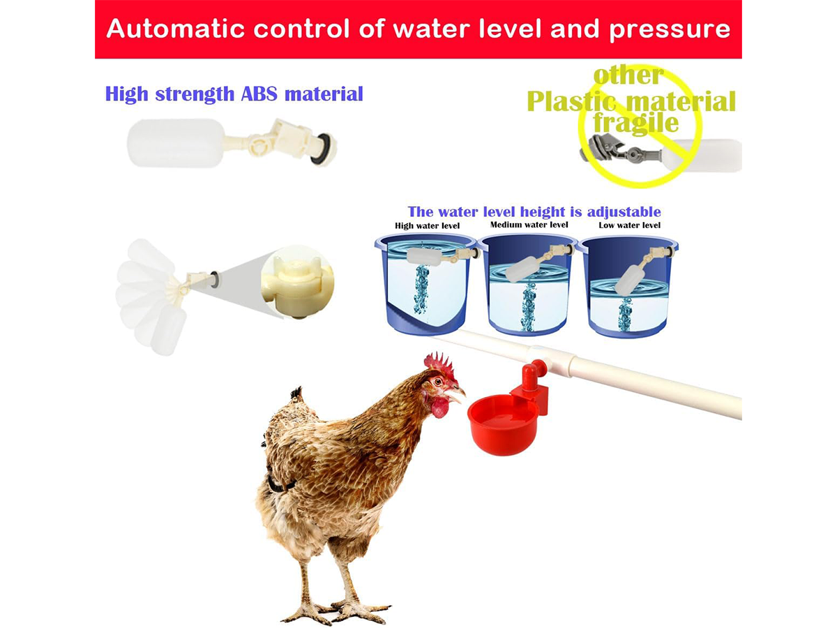 Chicken Water Feeder