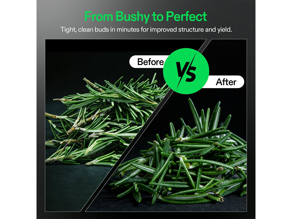Manual Bud Leaf Trimmer