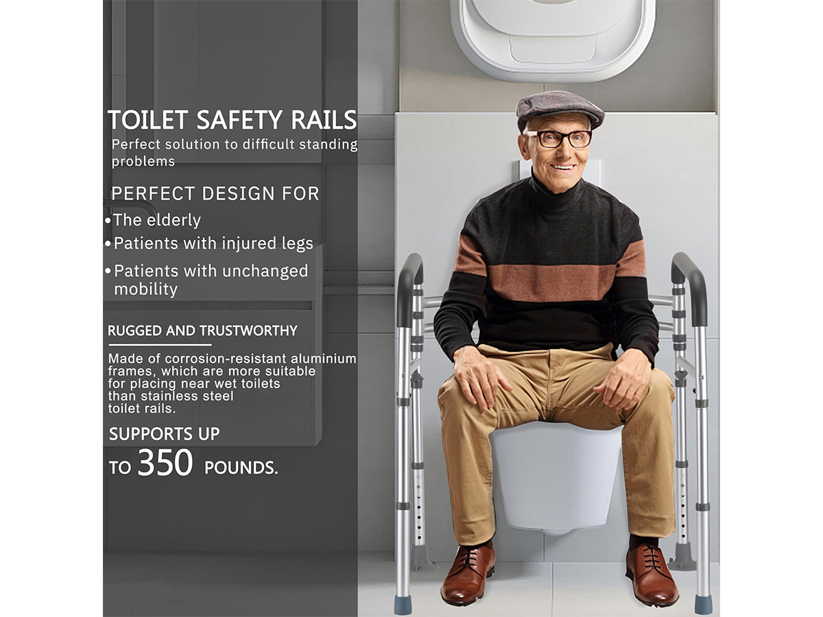 Toilet Safety Rails
