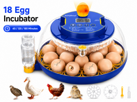 Thumbnail for 18 Eggs Incubators