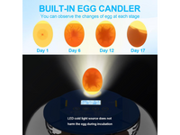 Thumbnail for 18 Eggs Incubators