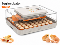 Thumbnail for 56-70 Eggs Egg Incubator