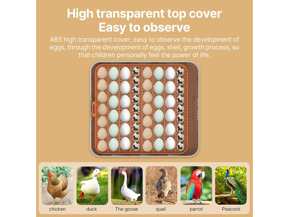 56-70 Eggs Egg Incubator
