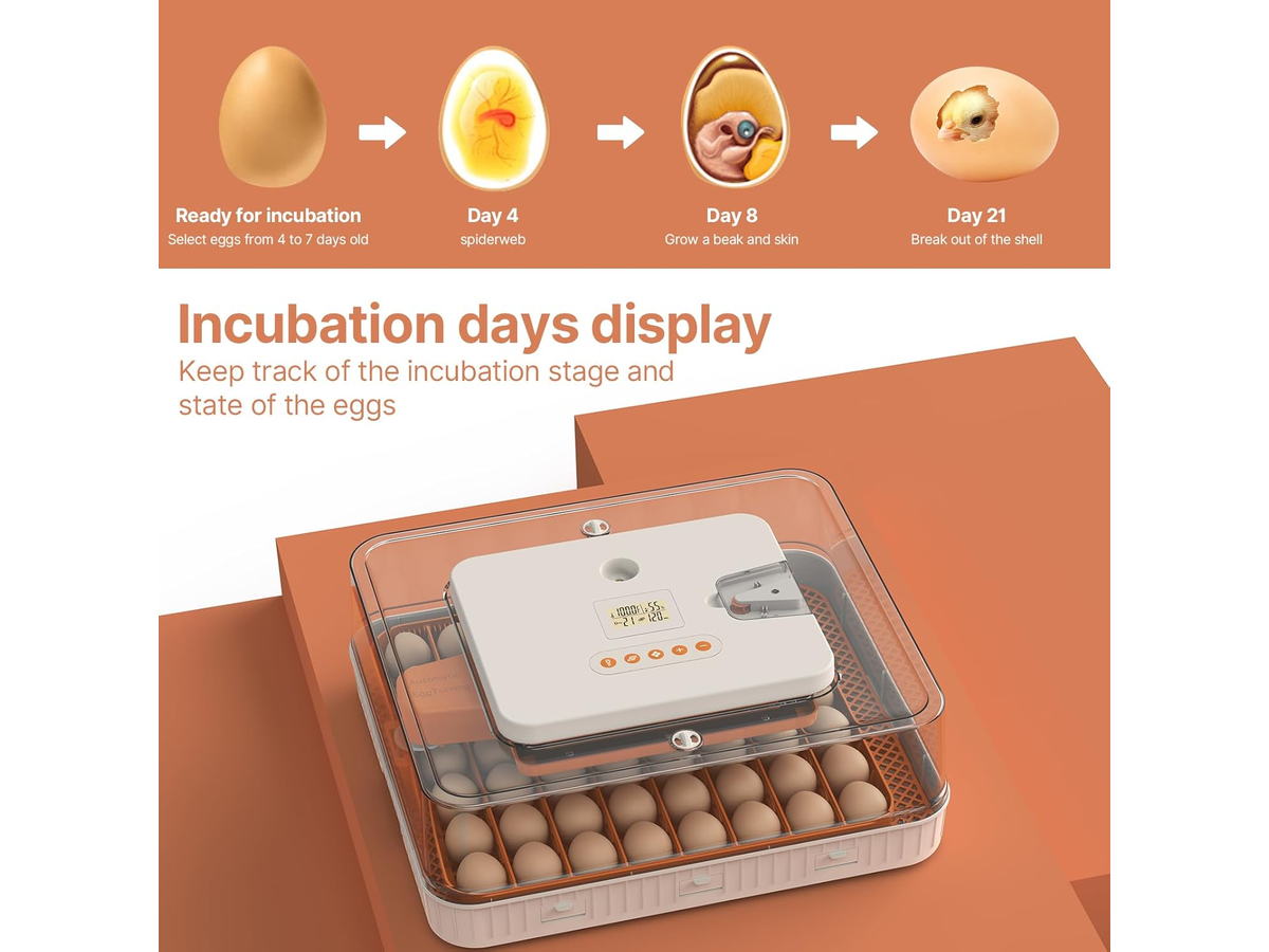 56-70 Eggs Egg Incubator
