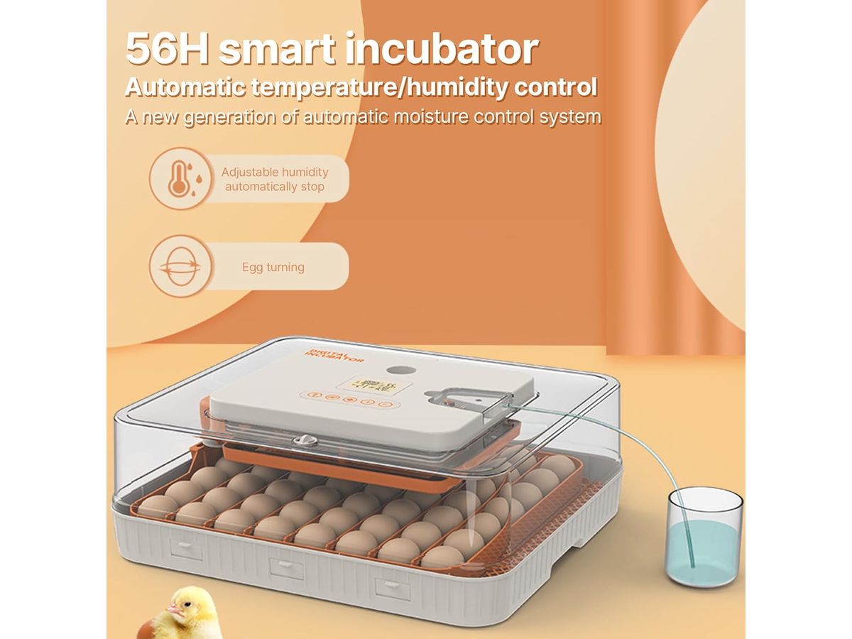 56-70 Eggs Egg Incubator