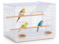 Thumbnail for Bird Cage Parrot Aviary Perch Carrier