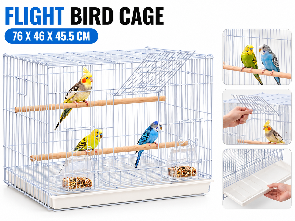 Bird Cage Parrot Aviary Perch Carrier