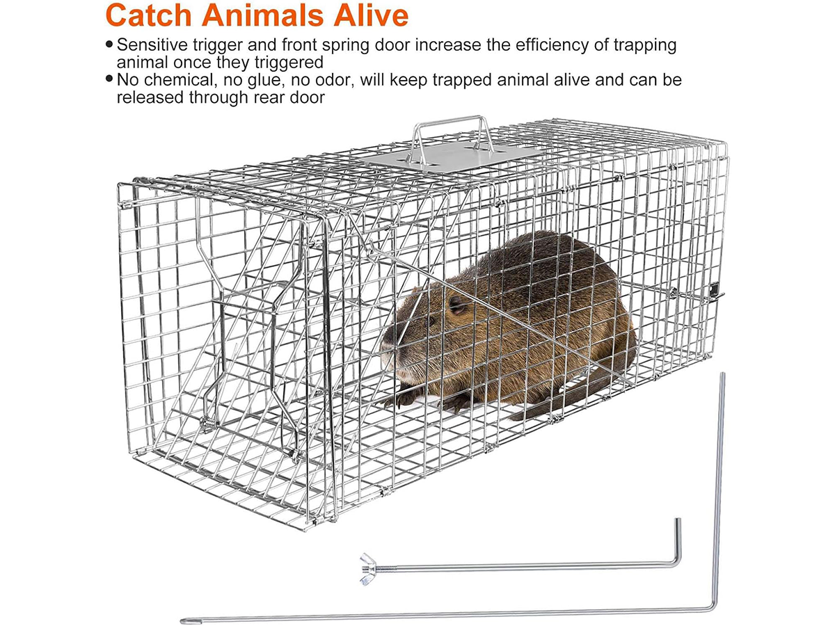 Possum Trap Large Animal Trap