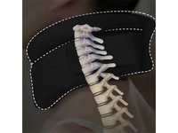 Thumbnail for Neck Support Brace Cervical Collar