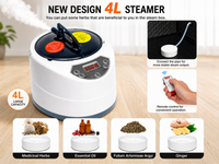 Thumbnail for Portable Steam Sauna Spa Room