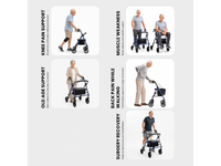 Thumbnail for Folding Mobility Walker