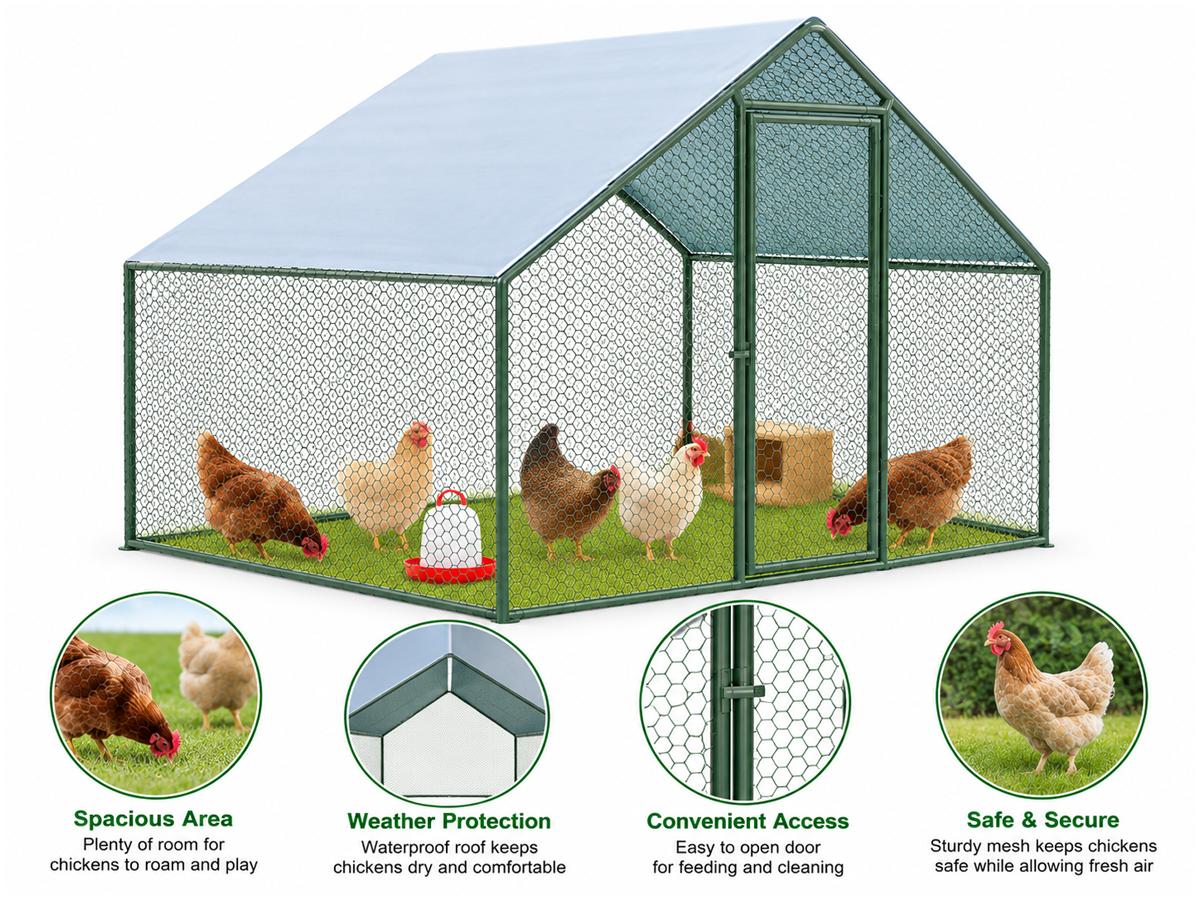 Outdoor Chicken Run with Roof Cover